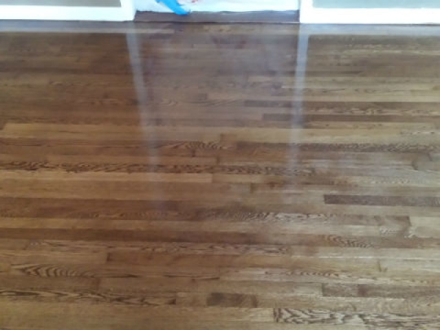 Pet Stained Floor Refinishing