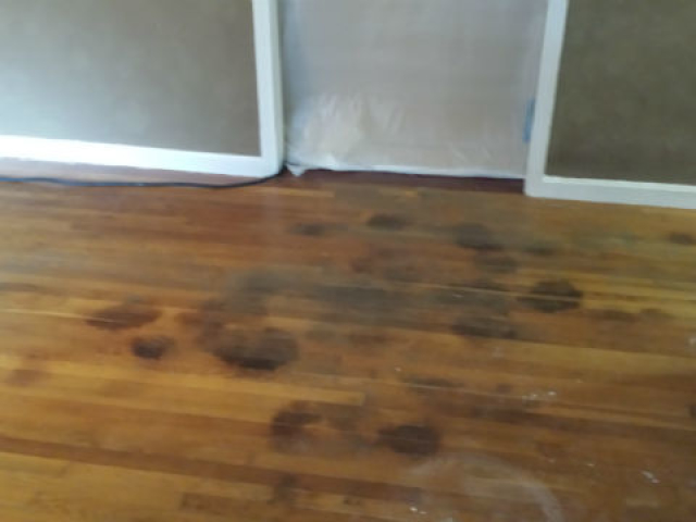 Pet Stained Floor Refinishing